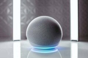 Alexa & Google Assistant